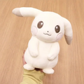 Pokémon Pendant Plushies (6 VARIANTS)