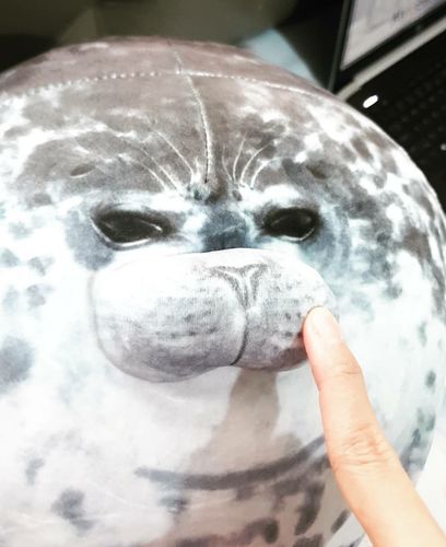 Round seal plushie for winter seasonal affective comfort