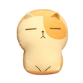 Expressionless Cat Plushies (4 COLORS, 2 SIZES)