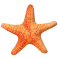 Lifelike Sealife Plushies (7 VARIANTS)