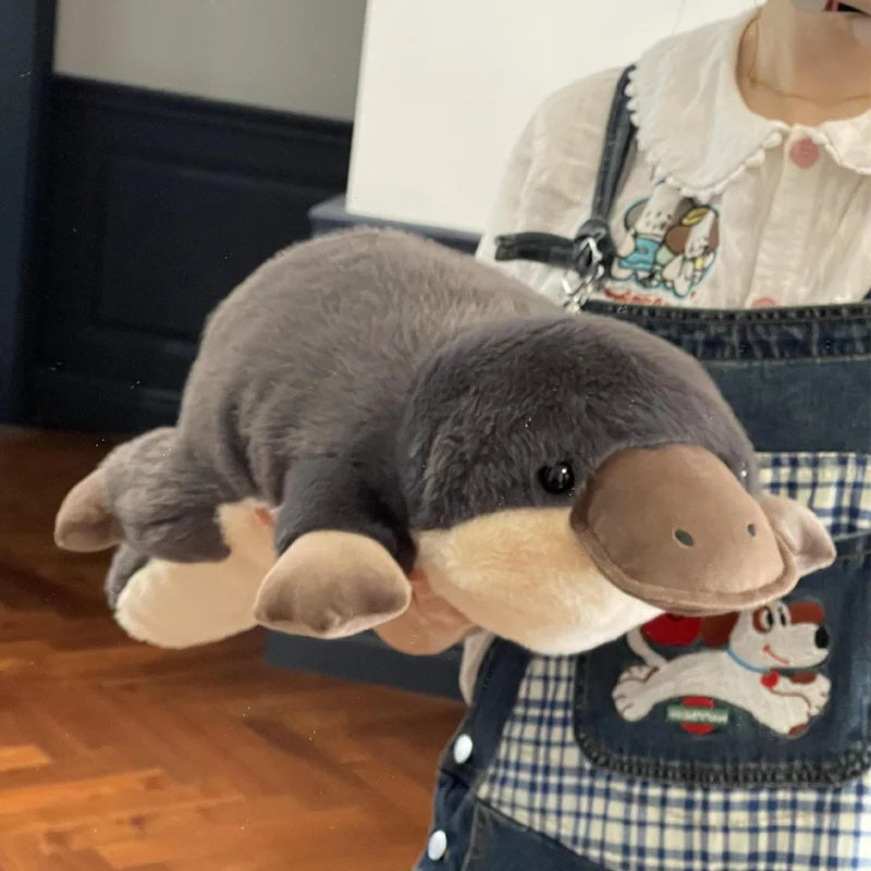 Platypus Plushies (2 SIZES)