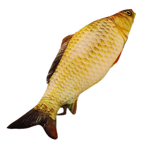 Lifelike Fish Plushies (4 VARIANTS, 6 SIZES)