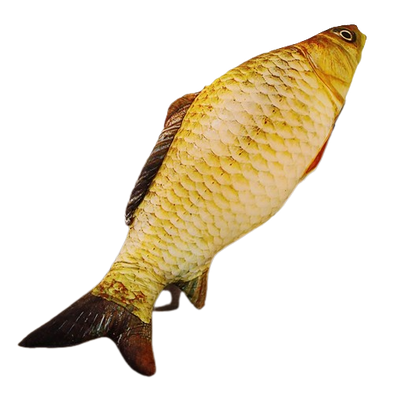 Lifelike Fish Plushies (4 VARIANTS, 6 SIZES)