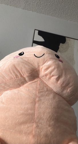 Tiny D Pillows (4 VARIANTS, 4 SIZES)