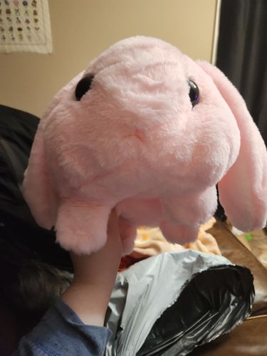 Chonky Bunny Plush Toy (4 COLORS)