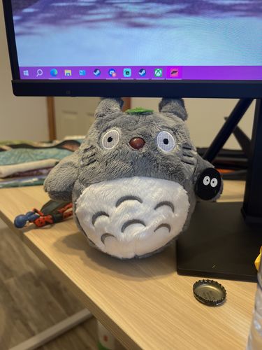 Totoro Family Plushies (5 Variants)