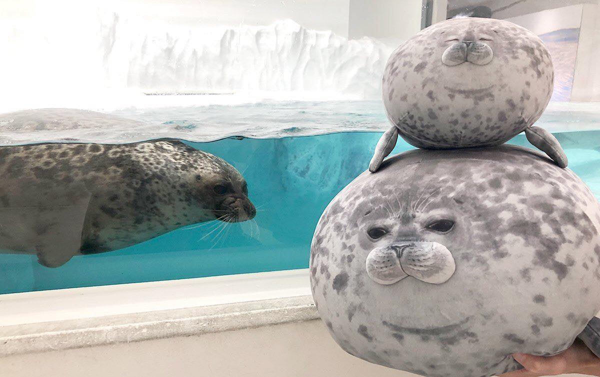 Yuki-Chan Plushie Japan's Roundest Seal - XL (Extra Chonky)