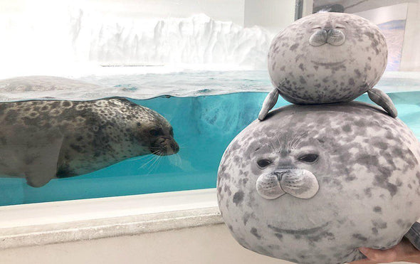 Yuki-Chan Plushie "Japan's Roundest Seal" - XL (Extra Chonky) - Subtle Asian Treats