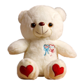 Luminous Teddy Bear Plushies (3 Colors)