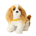 Shih Tzu Pup Plushies (6 Colors)