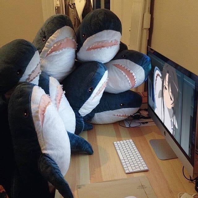 Shork Plushie (4 SIZES) - Subtle Asian Treats