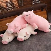 Pat the Piggy Plush (4 VARIANTS, 4 SIZES) - Subtle Asian Treats