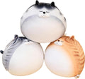 Super Chonky Zen Cat (4 COLORS, 2 SIZES)